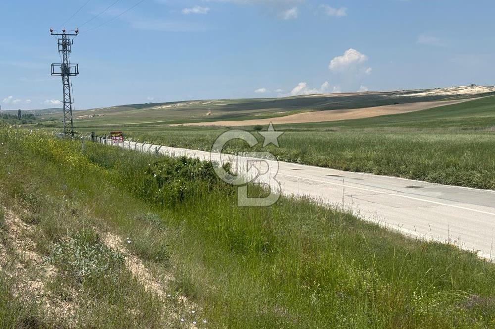 CB Vizyon Hacımuratlı Mahallesi Yola Cephe Yatırımlık Tarla
