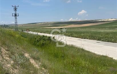 CB Vizyon Hacımuratlı Mahallesi Yola Cephe Yatırımlık Tarla