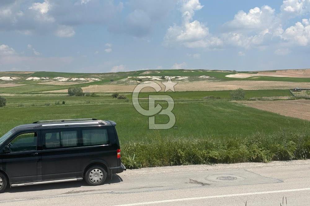 CB Vizyon Hacımuratlı Mahallesi Yola Cephe Yatırımlık Tarla