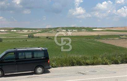 CB Vizyon Hacımuratlı Mahallesi Yola Cephe Yatırımlık Tarla