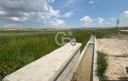 CB Vizyon Hacımuratlı Mahallesi Yola Cephe Yatırımlık Tarla