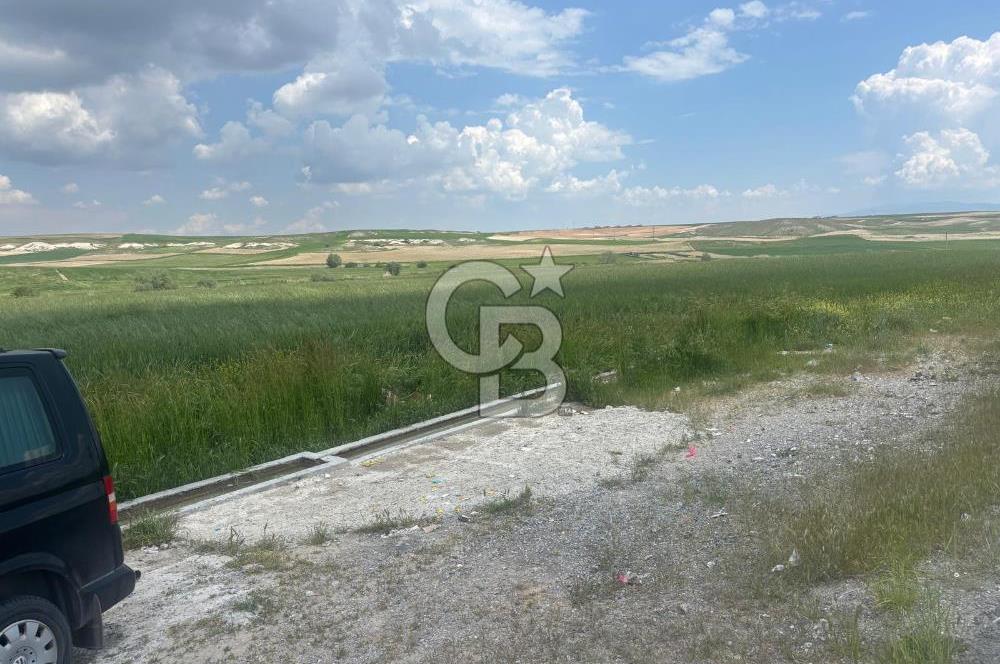 CB Vizyon Hacımuratlı Mahallesi Yola Cephe Yatırımlık Tarla