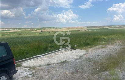 CB Vizyon Hacımuratlı Mahallesi Yola Cephe Yatırımlık Tarla
