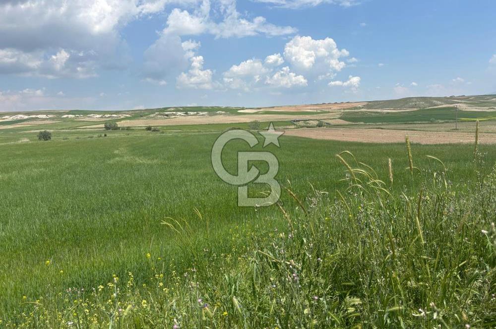 CB Vizyon Hacımuratlı Mahallesi Yola Cephe Yatırımlık Tarla