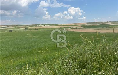 CB Vizyon Hacımuratlı Mahallesi Yola Cephe Yatırımlık Tarla