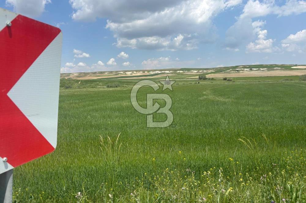 CB Vizyon Hacımuratlı Mahallesi Yola Cephe Yatırımlık Tarla