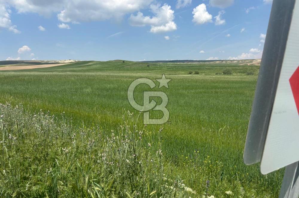 CB Vizyon Hacımuratlı Mahallesi Yola Cephe Yatırımlık Tarla