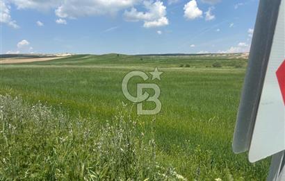 CB Vizyon Hacımuratlı Mahallesi Yola Cephe Yatırımlık Tarla