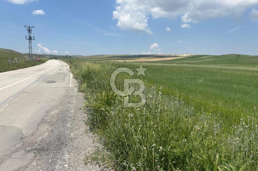CB Vizyon Hacımuratlı Mahallesi Yola Cephe Yatırımlık Tarla