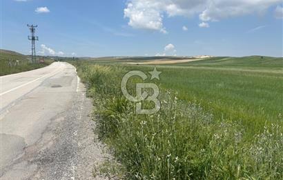 CB Vizyon Hacımuratlı Mahallesi Yola Cephe Yatırımlık Tarla