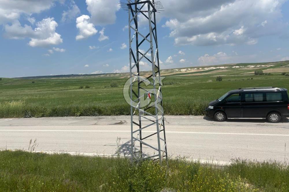CB Vizyon Hacımuratlı Mahallesi Yola Cephe Yatırımlık Tarla