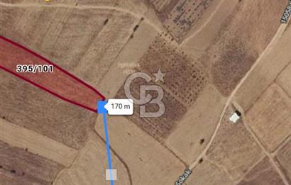 BOZOVA YUKARI MAHALLEDE 5000 MT2 ÜZERİ TARLA