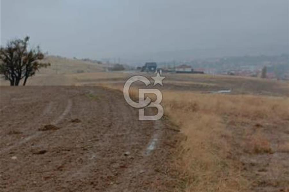 HASANOĞLANDA KONUT İMARLI ARSA