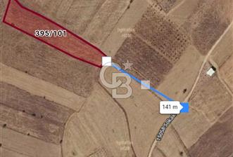 BOZOVA YUKARI MAHALLEDE 5000 MT2 ÜZERİ TARLA - 12 - 351231
