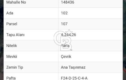 KANDIRA KARLI KÖYÜNDE YOLA CEPHELİ SATILIK TARLA 