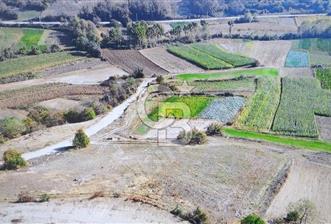 KANDIRA KARLI KÖYÜNDE YOLA CEPHELİ SATILIK TARLA  - 2 - 351228