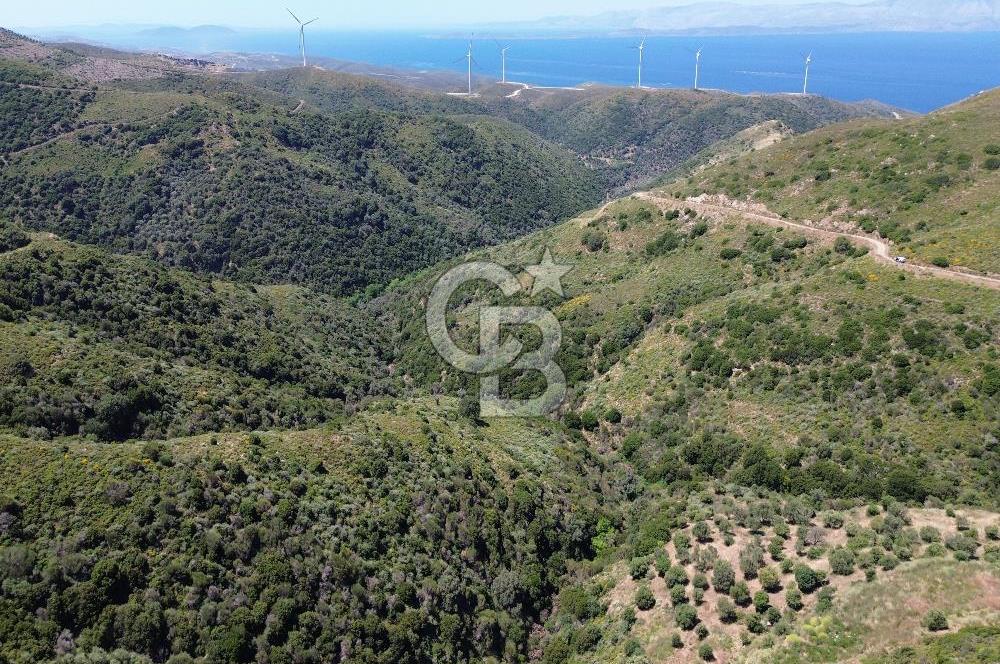 Karaburun Sarpıncık Mahallesi'nde 10.125 m² Satılık Tarla