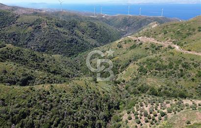Karaburun Sarpıncık Mahallesi'nde 10.125 m² Satılık Tarla