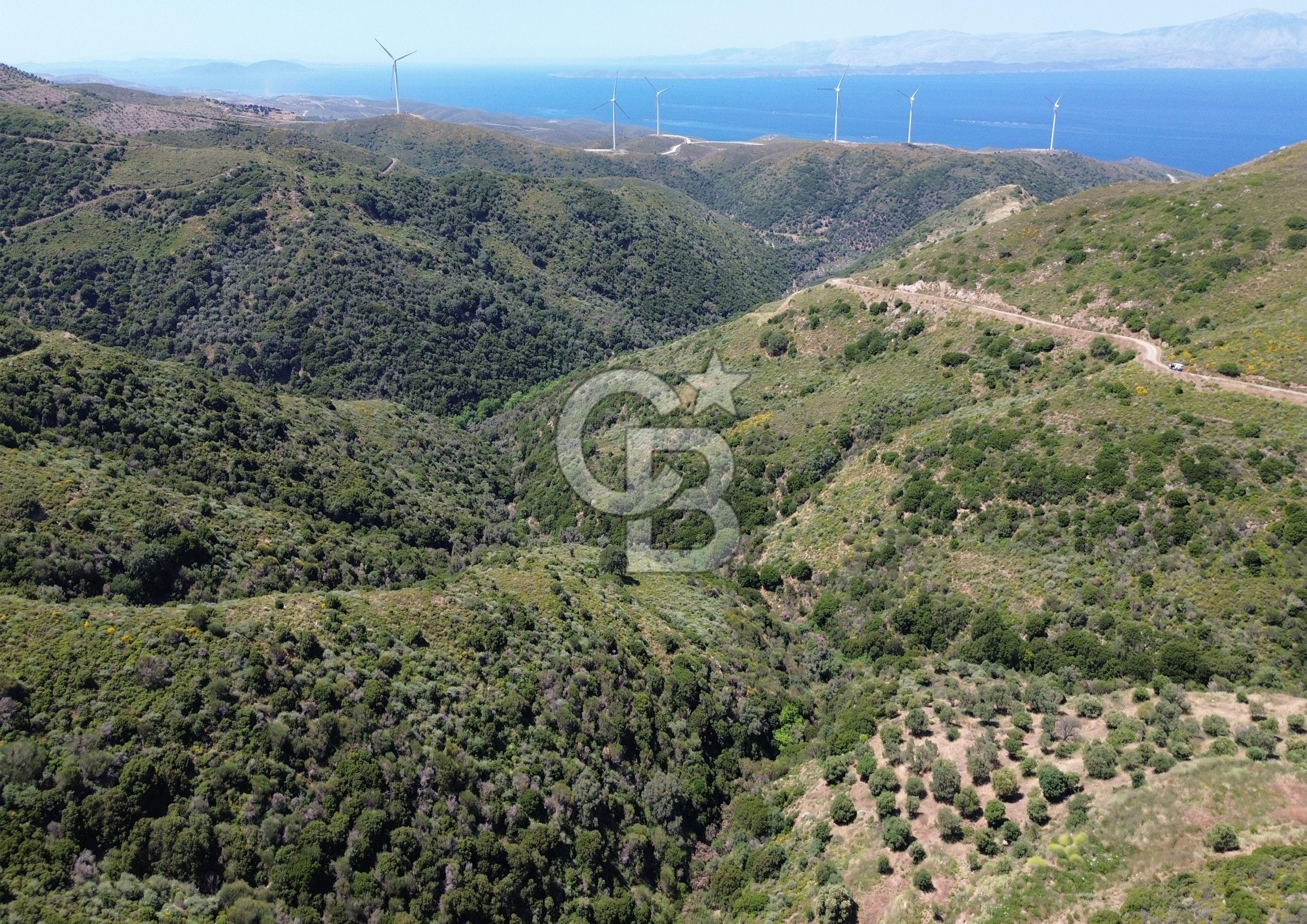 Karaburun Sarpıncık Mahallesi'nde 10.125 m² Satılık Tarla