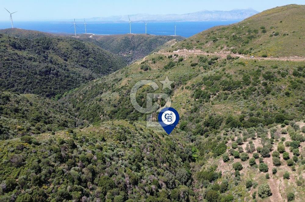 Karaburun Sarpıncık Mahallesi'nde 10.125 m² Satılık Tarla