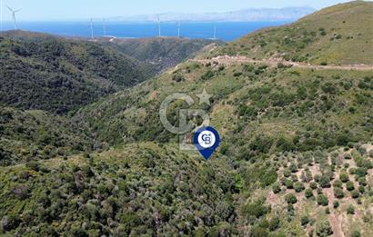 Karaburun Sarpıncık Mahallesi'nde 10.125 m² Satılık Tarla