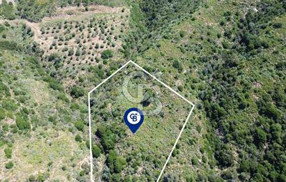 Karaburun Sarpıncık Mahallesi'nde 10.125 m² Satılık Tarla