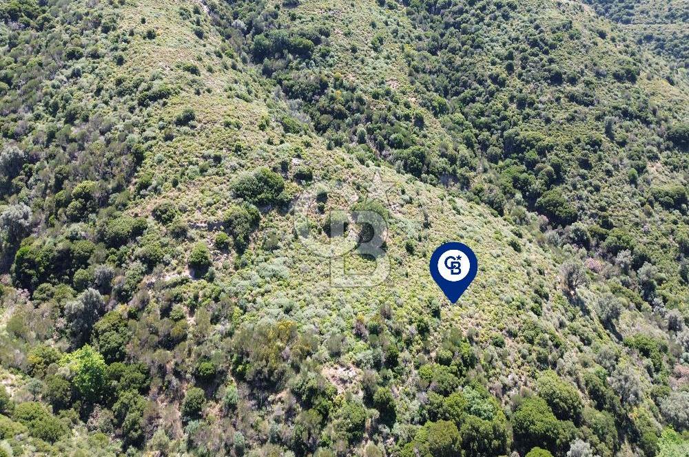 Karaburun Sarpıncık Mahallesi'nde 10.125 m² Satılık Tarla