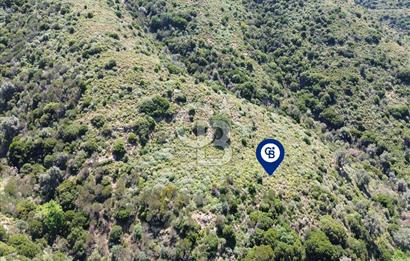 Karaburun Sarpıncık Mahallesi'nde 10.125 m² Satılık Tarla