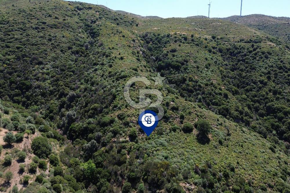 Karaburun Sarpıncık Mahallesi'nde 10.125 m² Satılık Tarla