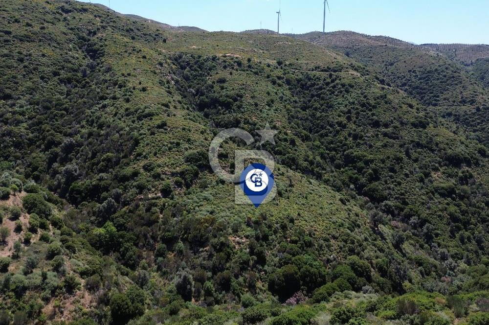 Karaburun Sarpıncık Mahallesi'nde 10.125 m² Satılık Tarla