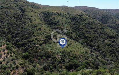 Karaburun Sarpıncık Mahallesi'nde 10.125 m² Satılık Tarla