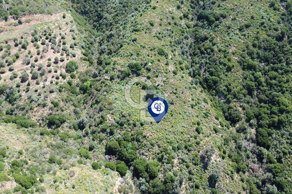 Karaburun Sarpıncık Mahallesi'nde 10.125 m² Satılık Tarla
