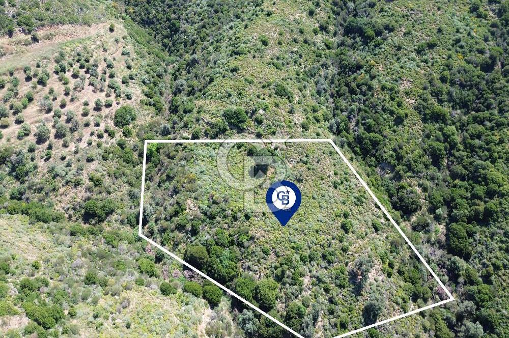 Karaburun Sarpıncık Mahallesi'nde 10.125 m² Satılık Tarla