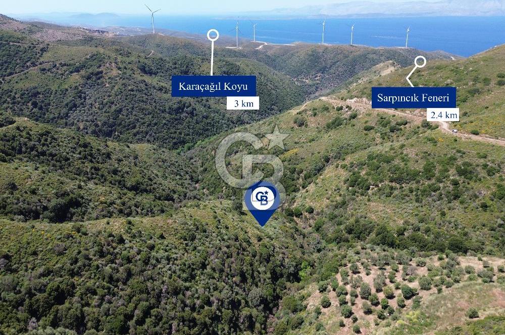 Karaburun Sarpıncık Mahallesi'nde 10.125 m² Satılık Tarla