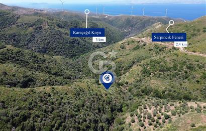 Karaburun Sarpıncık Mahallesi'nde 10.125 m² Satılık Tarla