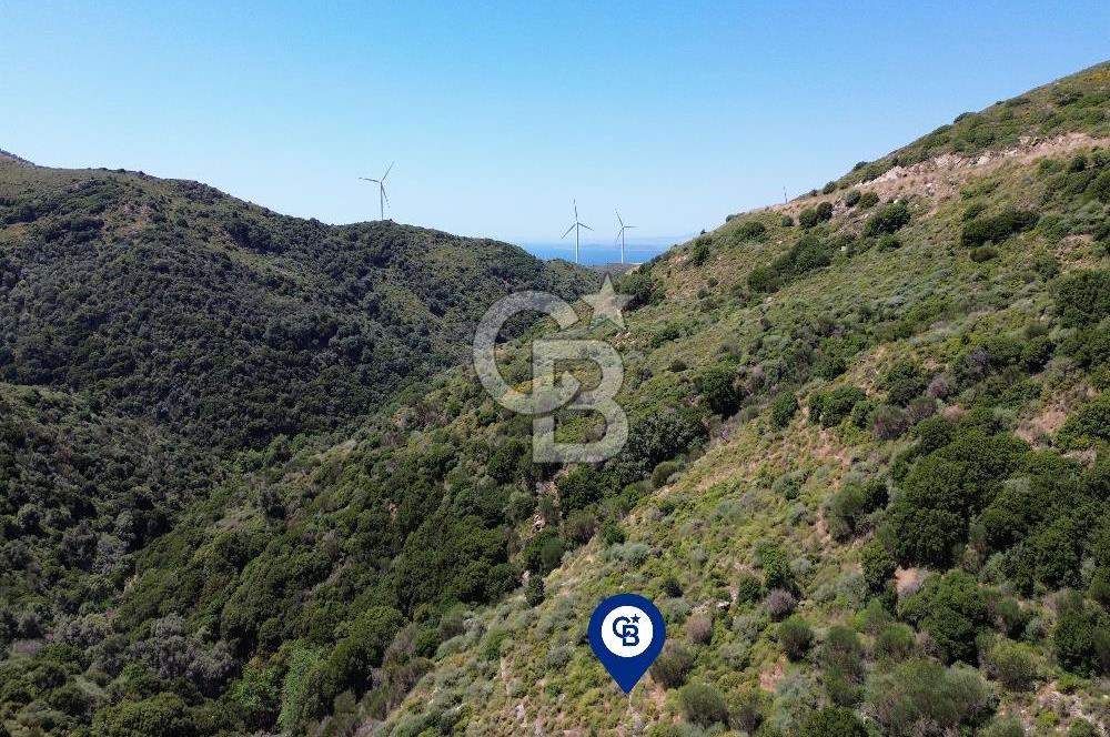 Karaburun Sarpıncık Mahallesi'nde 10.125 m² Satılık Tarla
