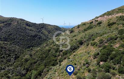 Karaburun Sarpıncık Mahallesi'nde 10.125 m² Satılık Tarla