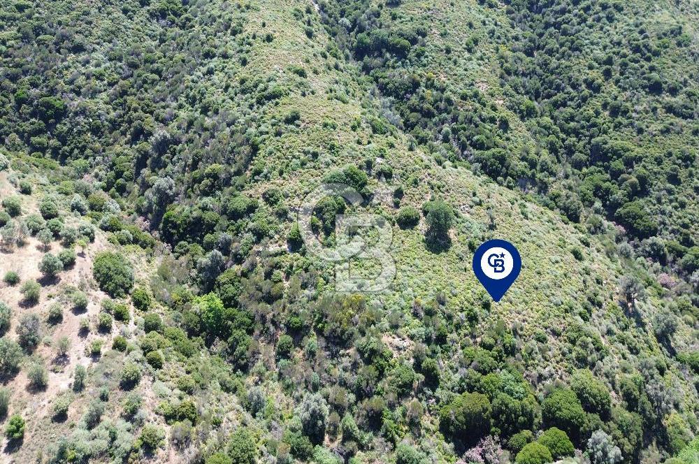 Karaburun Sarpıncık Mahallesi'nde 10.125 m² Satılık Tarla