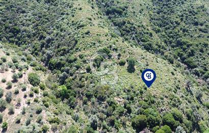 Karaburun Sarpıncık Mahallesi'nde 10.125 m² Satılık Tarla