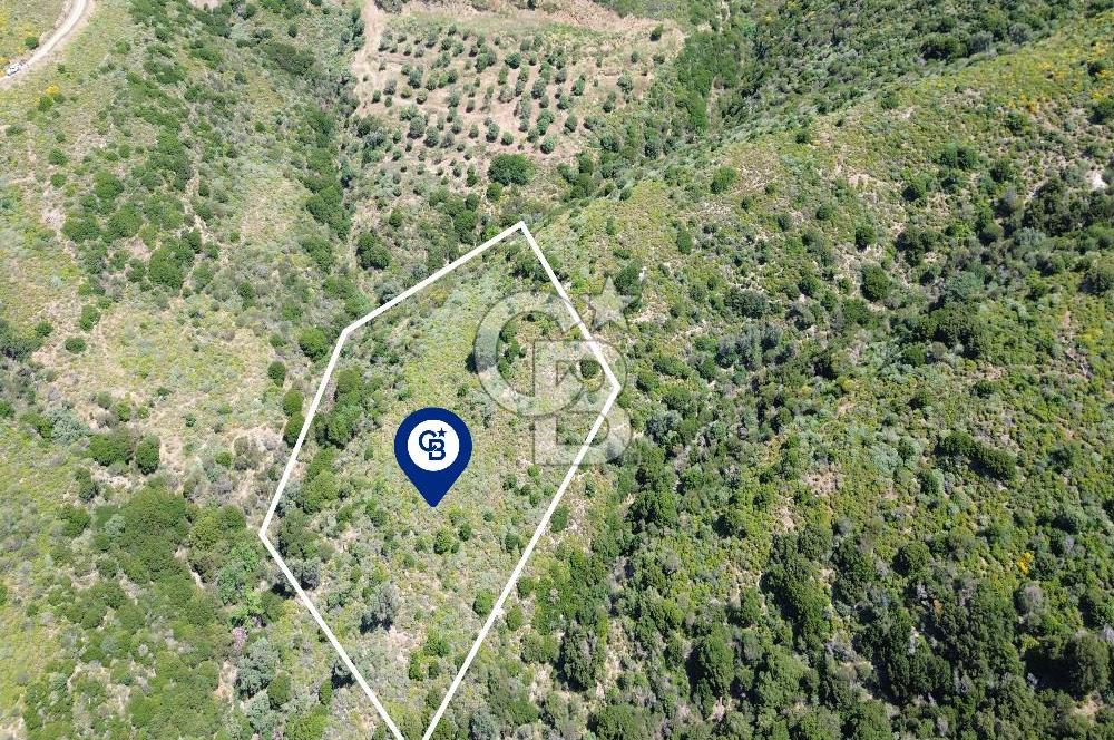 Karaburun Sarpıncık Mahallesi'nde 10.125 m² Satılık Tarla