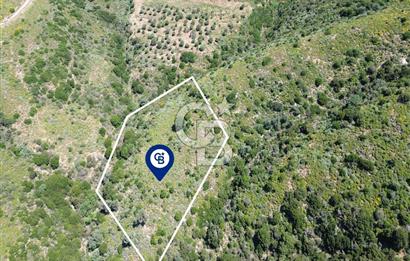 Karaburun Sarpıncık Mahallesi'nde 10.125 m² Satılık Tarla