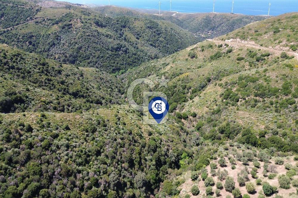 Karaburun Sarpıncık Mahallesi'nde 10.125 m² Satılık Tarla