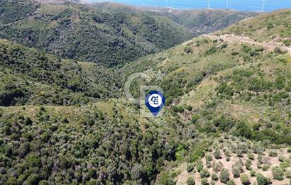 Karaburun Sarpıncık Mahallesi'nde 10.125 m² Satılık Tarla