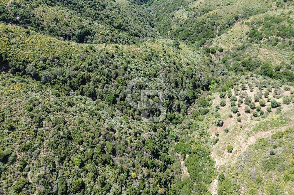 Karaburun Sarpıncık Mahallesi'nde 10.125 m² Satılık Tarla
