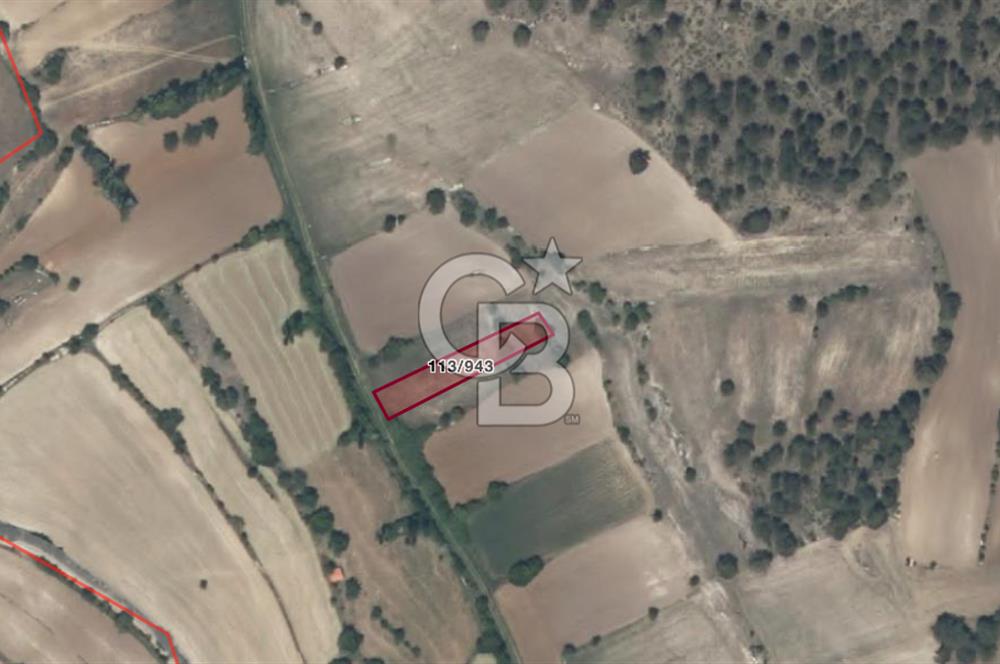CB EAGLE'Dan KÜTAHYA EMET'DE 904 m² SATILIK TARLA