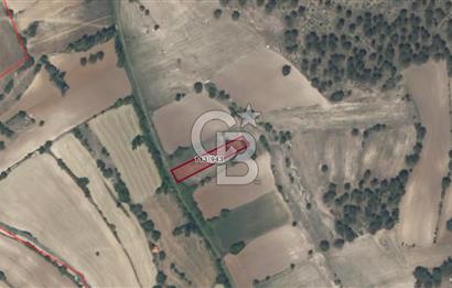 CB EAGLE'Dan KÜTAHYA EMET'DE 904 m² SATILIK TARLA