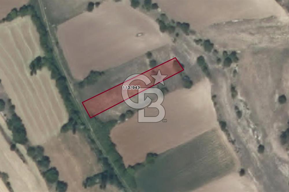 CB EAGLE'Dan KÜTAHYA EMET'DE 904 m² SATILIK TARLA