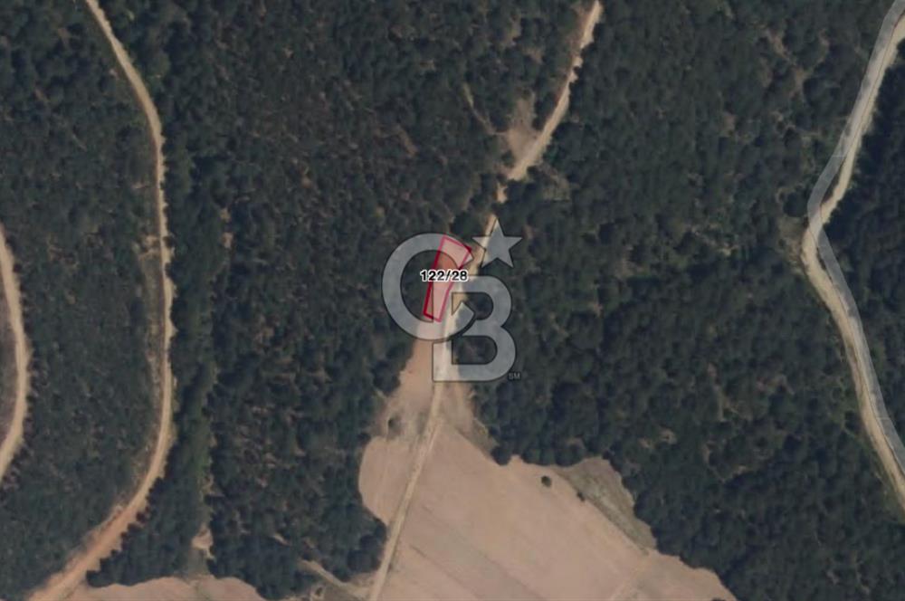 CB EAGLE'Dan KÜTAHYA GEDİZ'DE 337 m² SATILIK TARLA