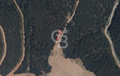 CB EAGLE'Dan KÜTAHYA GEDİZ'DE 337 m² SATILIK TARLA