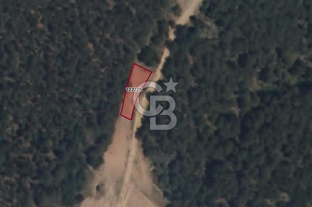 CB EAGLE'Dan KÜTAHYA GEDİZ'DE 337 m² SATILIK TARLA